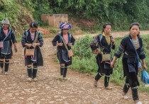 Шапа, Черные хмонги