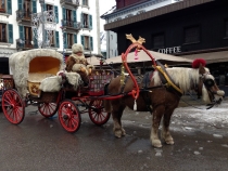 Это в Лапландии Дед Мороз на оленях, а в Альпах он на лошадке.