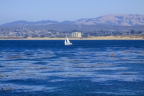 27 Дней по западу США на Мустанге