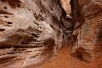 27 Дней по западу США на Мустанге