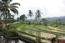 Иджен терассы4