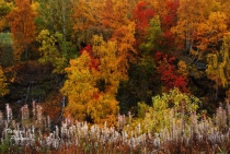 Осенняя Норвегия