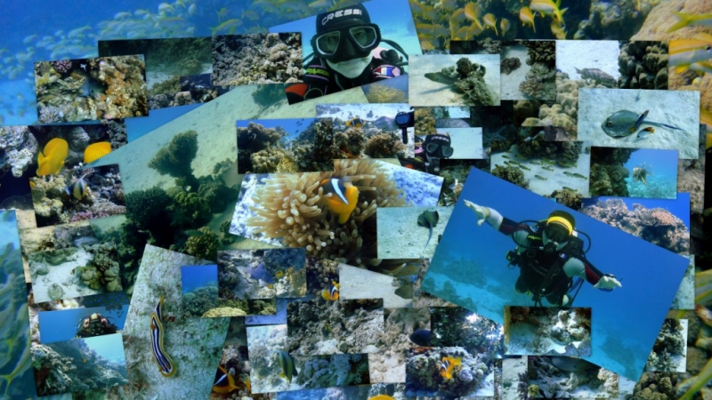 Дайвинг Хургада