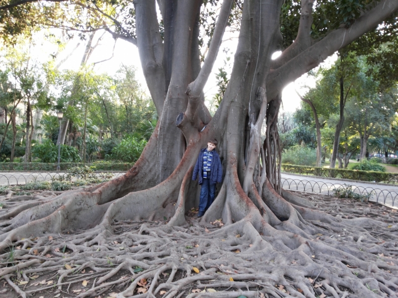 Португалия Испания