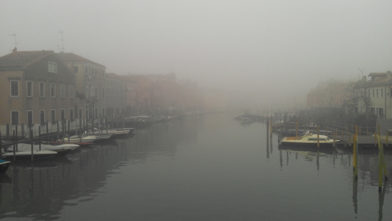 Капризы природы 2