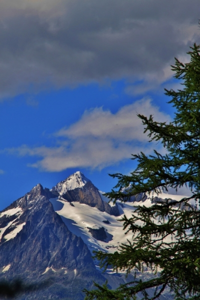 Ледник Алеч