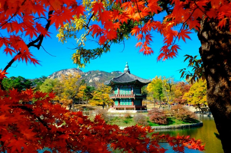 Беседка в дворцовом комплексе Кёнбоккун