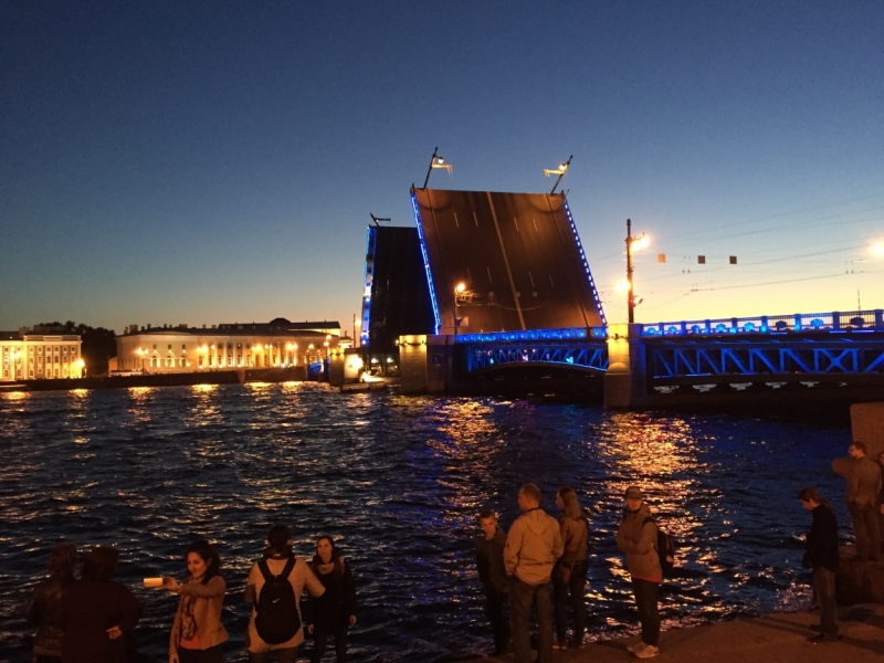 Бойня в Комарово