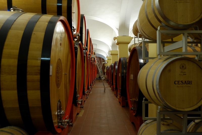 Cesari