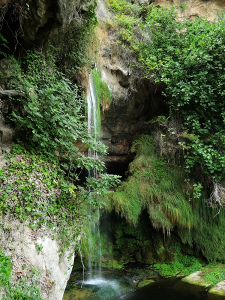 Дорога в монастырь