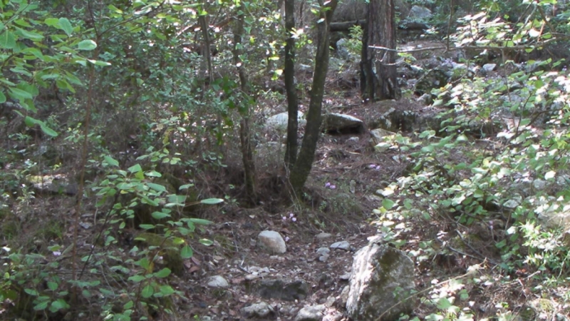 Ликийская тропа