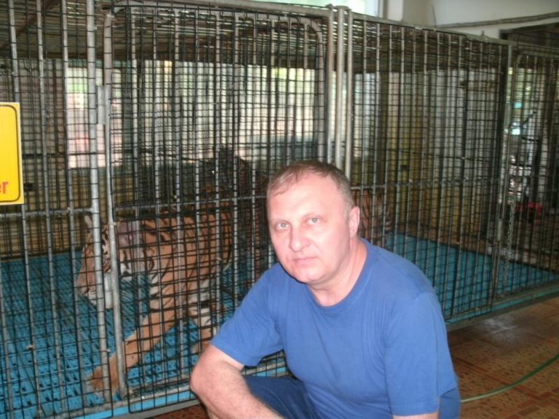 Тигровое шоу