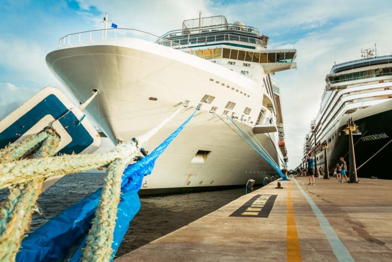 Celebrity (Reflection)