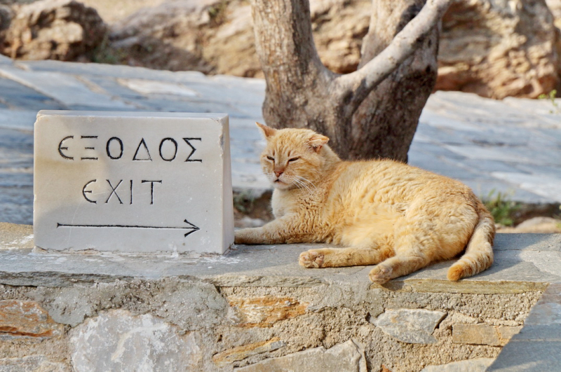 У входе на Акрополь