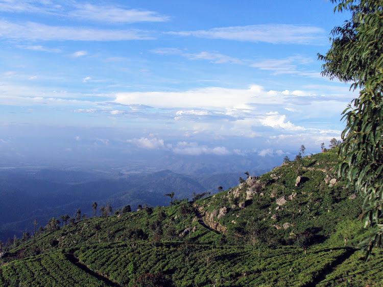 Haputale mountains...morning....