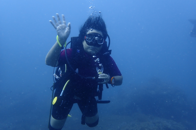 чайные плантации