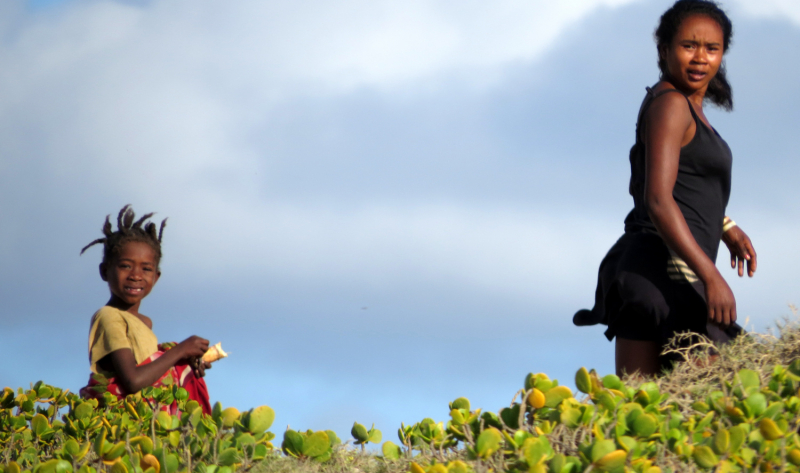 Мадагаскар-2020