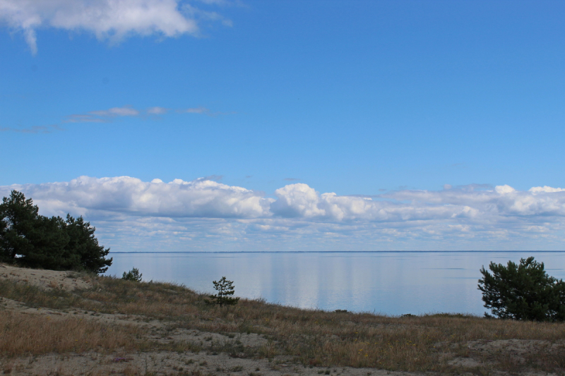 Куршская коса, Куршский залив