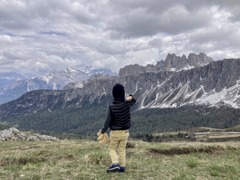 Dolomiti views