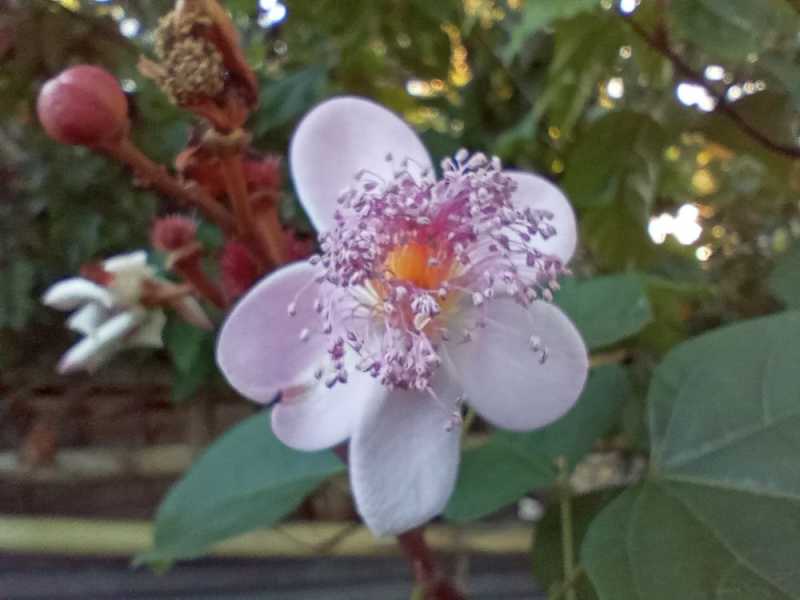 Филиппины-2025