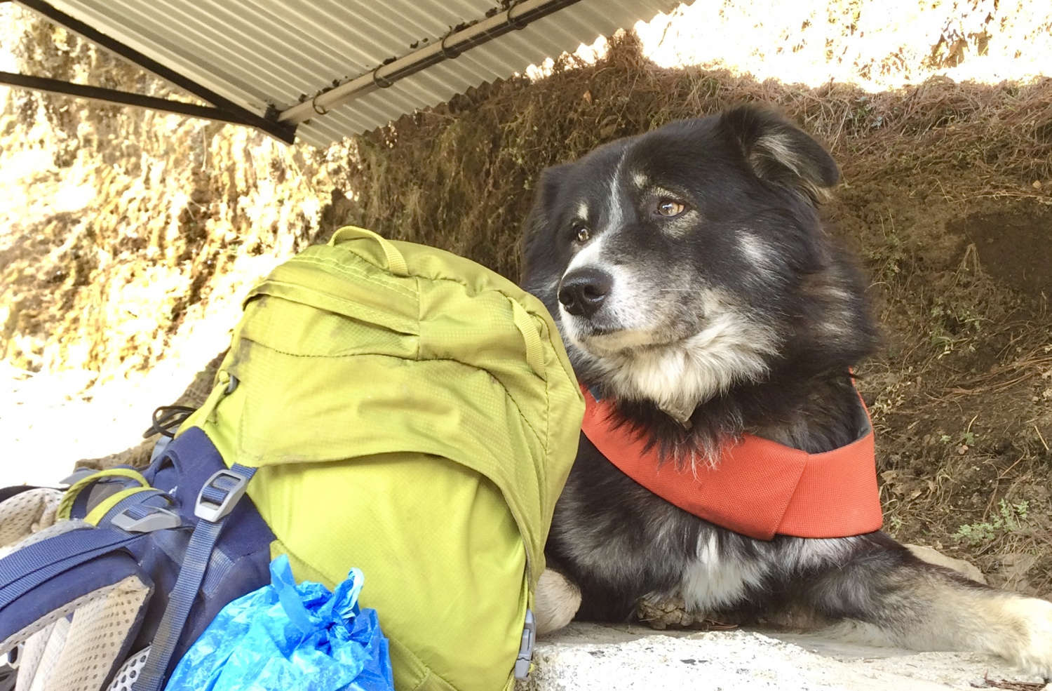 Монг трек после локдауна (ноябрь2020). Не всем трусам в Сагарматхе покоряется Чукхунг. Гокиё с локдауном под занавес (аперль-май2021). Гокиё окт.2021