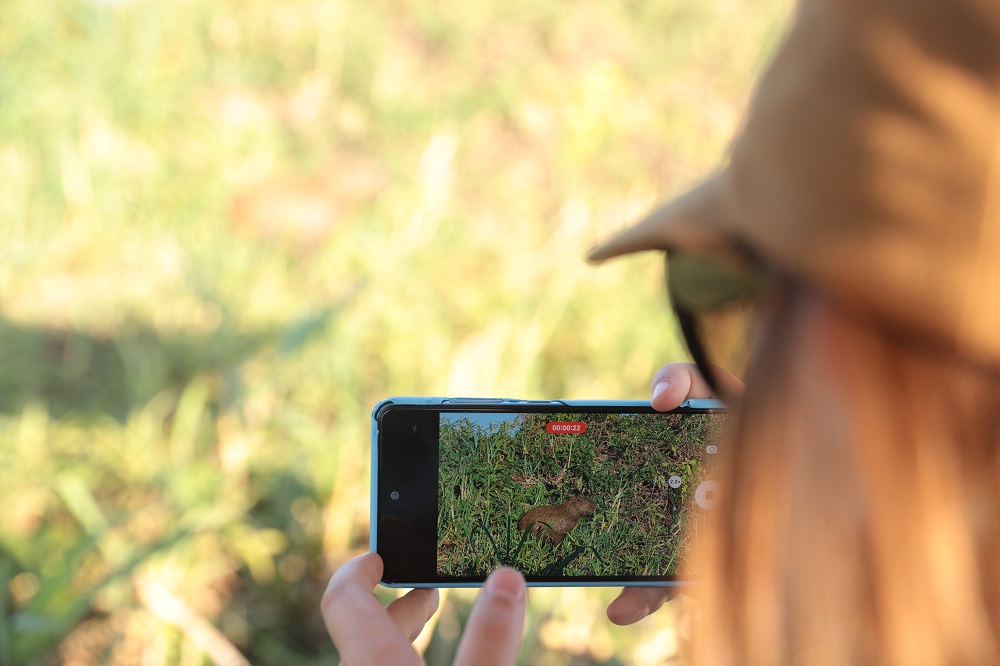 Улиткины в Бразилии - лето 2024 (обновление)