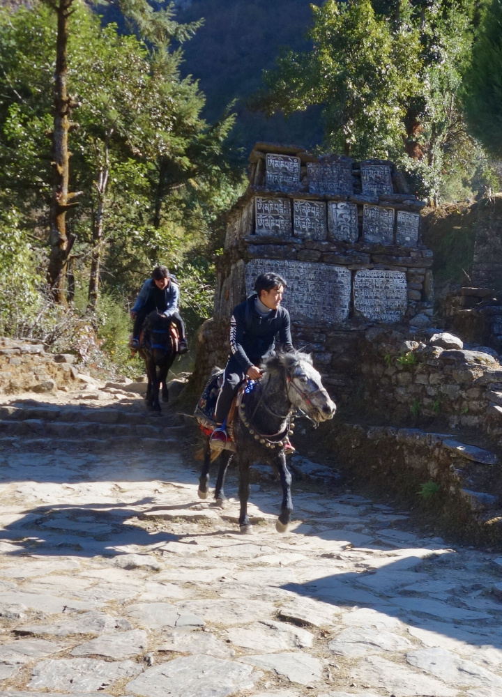 Монг трек после локдауна (ноябрь2020). Не всем трусам в Сагарматхе покоряется Чукхунг. Гокиё с локдауном под занавес (аперль-май2021). Гокиё окт.2021