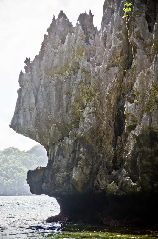 82 дня в Азии. Вьетнам - Гонконг - Филиппины. Ребенок 2,8г. -2 82 дня в Азии. Вьетнам - Гонконг - Филиппины. Ребенок 2,8г. -2