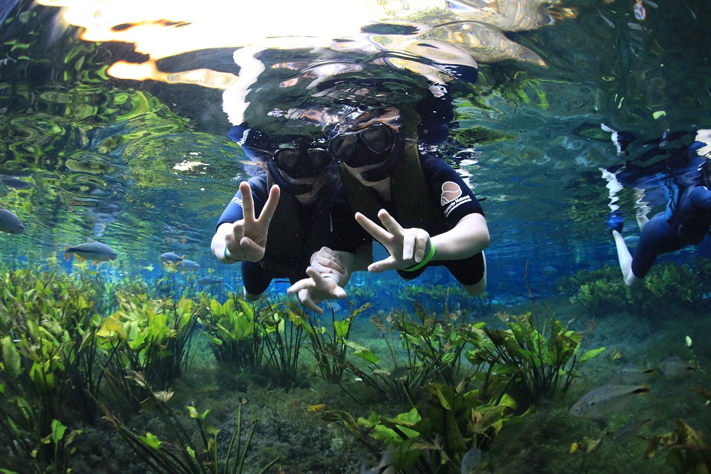 Улиткины в Бразилии - лето 2024 (обновление)