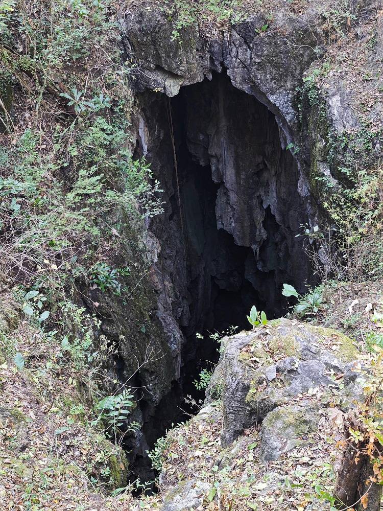 Улиткины в Бразилии - лето 2024 (обновление)