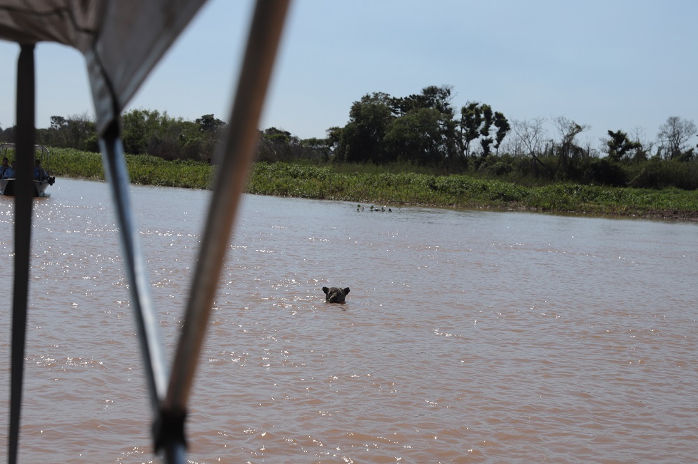 Улиткины в Бразилии - лето 2024 (обновление)