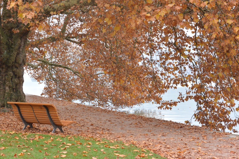 В погоне за уходящим летом или ноябрьские зарисовки южной Франции
