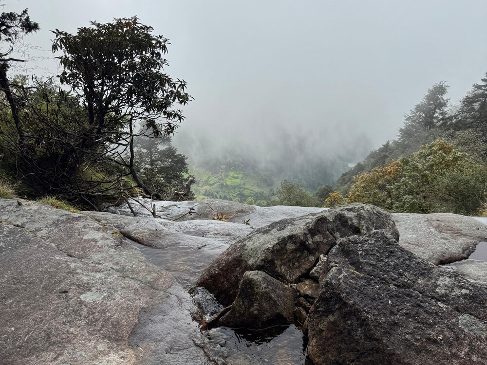 Тюлени на горе Конгде – осень 2024