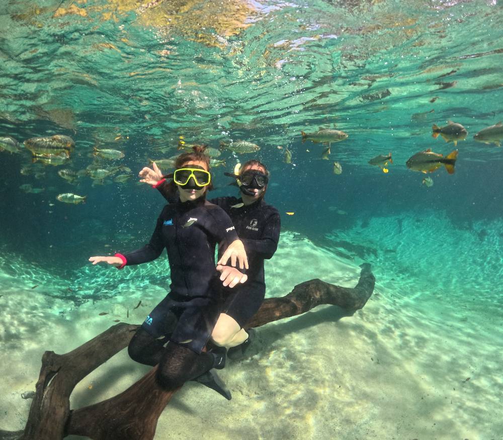 Улиткины в Бразилии - лето 2024 (обновление)