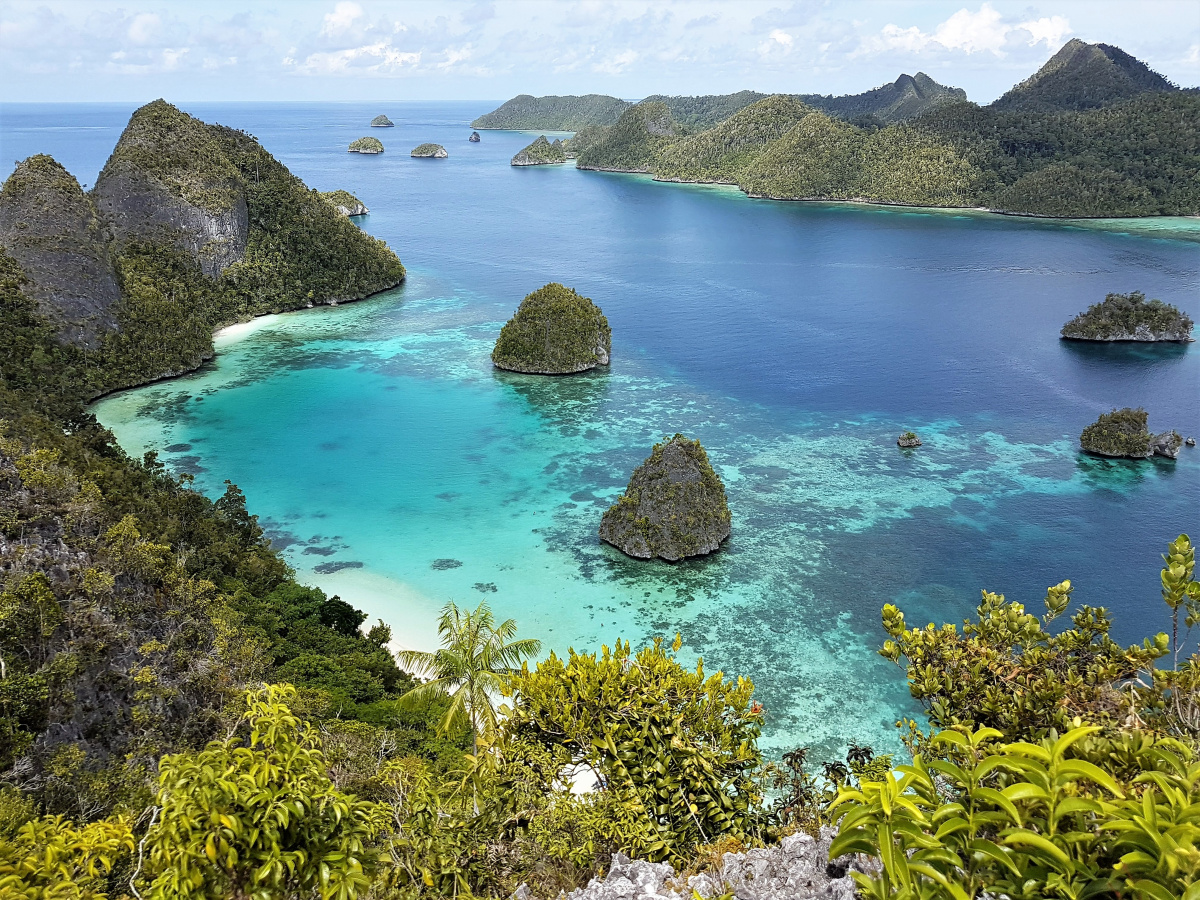 R4: Waigeo, Wayag, Manyaifun, Piaynemo, Arborek, Batanta, Misool (2017г. + 2018г. + 2019г.)