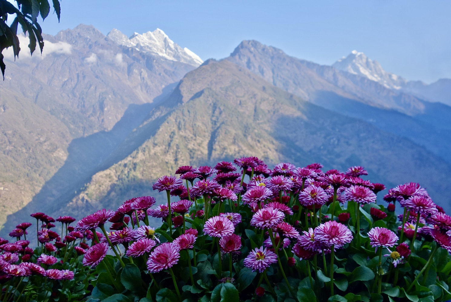 Монг трек после локдауна (ноябрь2020). Не всем трусам в Сагарматхе покоряется Чукхунг. Гокиё с локдауном под занавес (аперль-май2021). Гокиё окт.2021