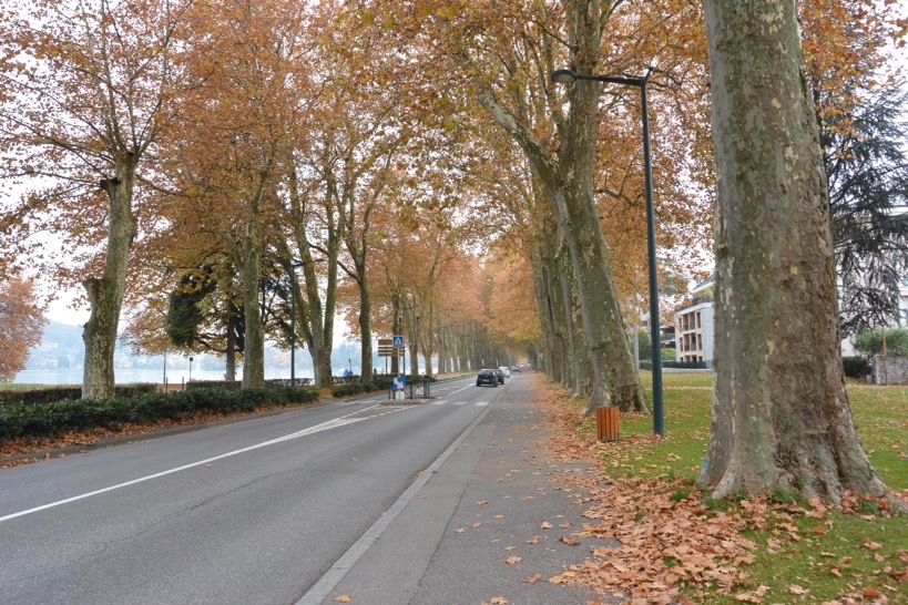 В погоне за уходящим летом или ноябрьские зарисовки южной Франции