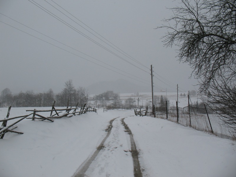 Дороги, тропы: куда они нас ведут - тут фотоответ