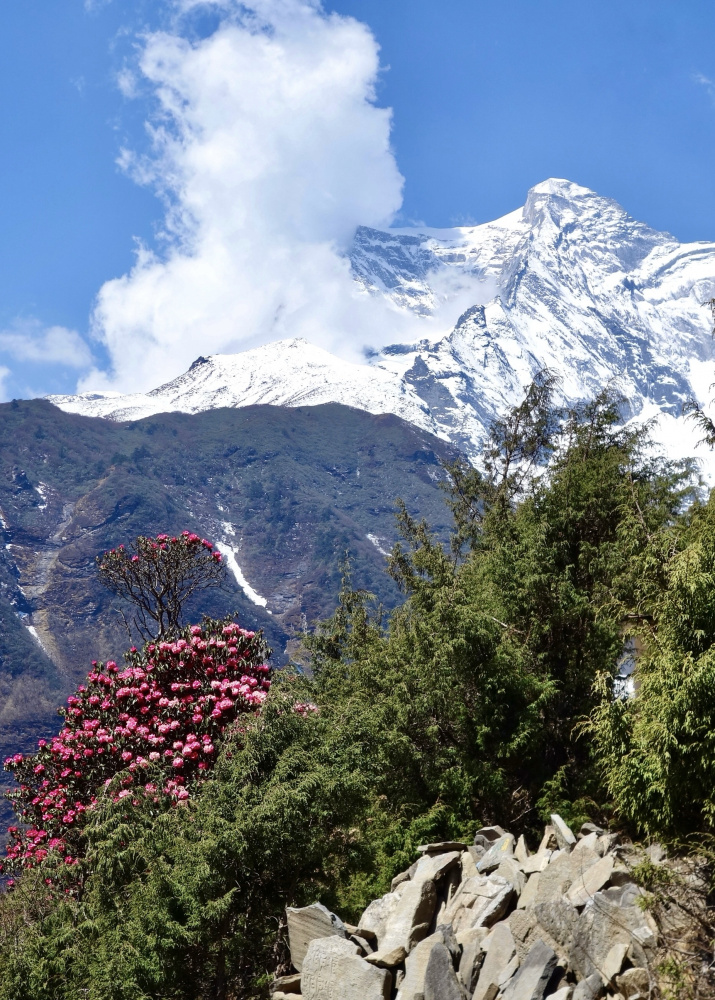 Монг трек после локдауна (ноябрь2020). Не всем трусам в Сагарматхе покоряется Чукхунг. Гокиё с локдауном под занавес (аперль-май2021). Гокиё окт.2021