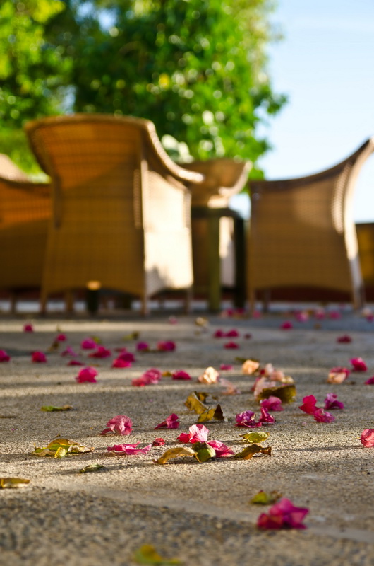 82 дня в Азии. Вьетнам - Гонконг - Филиппины. Ребенок 2,8г. -2 82 дня в Азии. Вьетнам - Гонконг - Филиппины. Ребенок 2,8г. -2