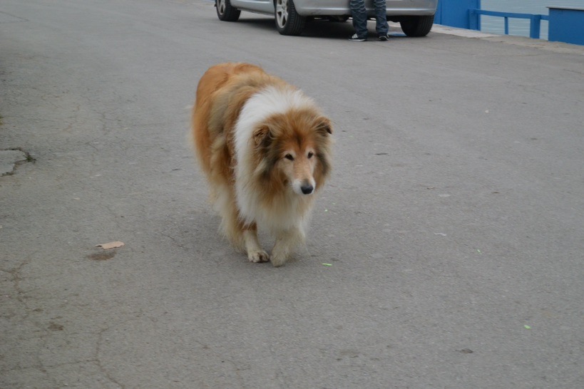 В погоне за уходящим летом или ноябрьские зарисовки южной Франции