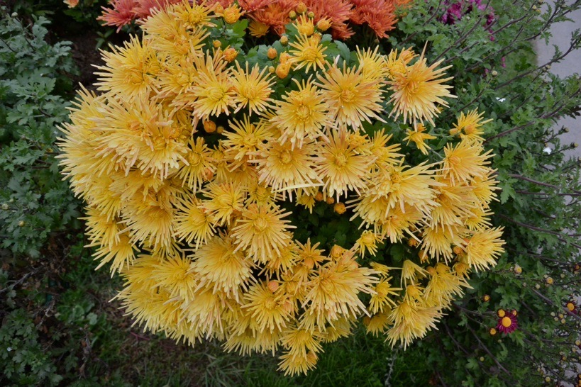 В погоне за уходящим летом или ноябрьские зарисовки южной Франции