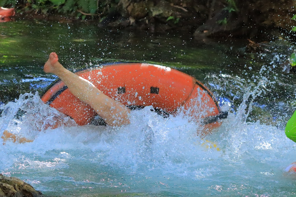 Улиткины в Бразилии - лето 2024 (обновление)