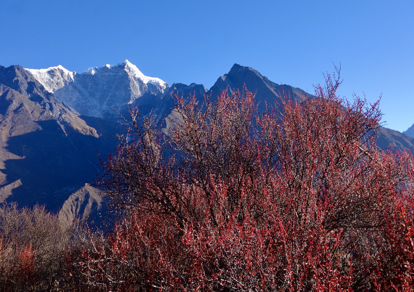 Монг трек после локдауна (ноябрь2020). Не всем трусам в Сагарматхе покоряется Чукхунг. Гокиё с локдауном под занавес (аперль-май2021). Гокиё окт.2021