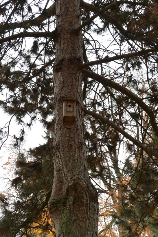 В погоне за уходящим летом или ноябрьские зарисовки южной Франции