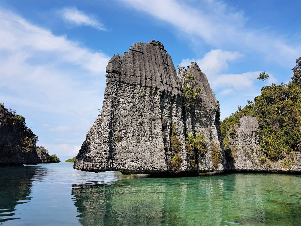 R4: Waigeo, Wayag, Manyaifun, Piaynemo, Arborek, Batanta, Misool (2017г. + 2018г. + 2019г.) R4: Waigeo, Wayag, Manyaifun, Piaynemo, Arborek, Batanta, Misool (2017г. + 2018г. + 2019г.)