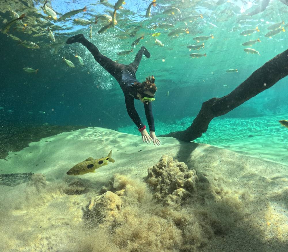 Улиткины в Бразилии - лето 2024 (обновление)