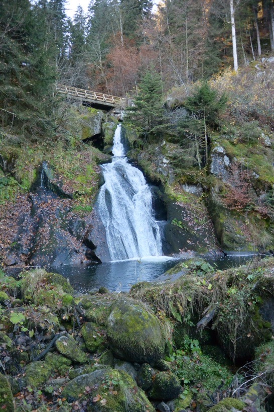 В погоне за уходящим летом или ноябрьские зарисовки южной Франции