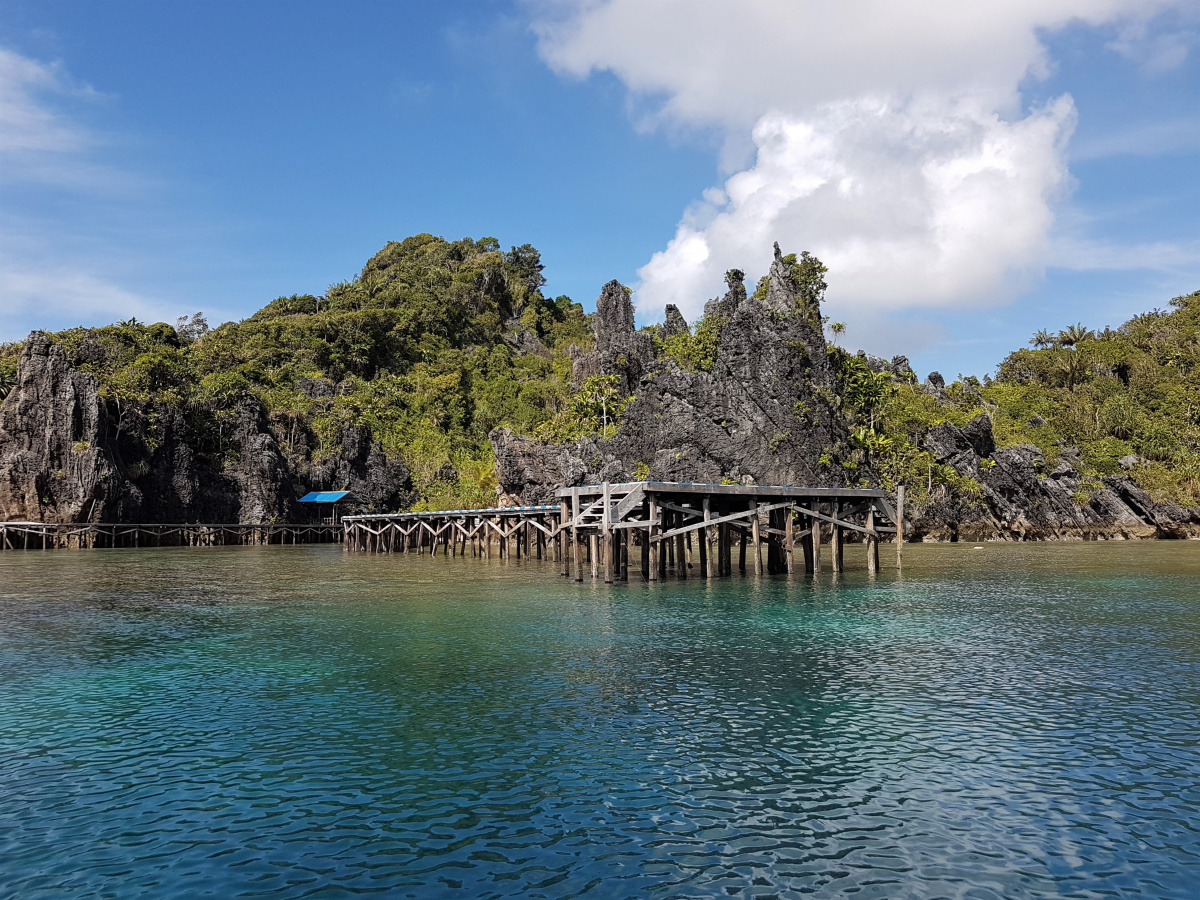 R4: Waigeo, Wayag, Manyaifun, Piaynemo, Arborek, Batanta, Misool (2017г. + 2018г. + 2019г.) R4: Waigeo, Wayag, Manyaifun, Piaynemo, Arborek, Batanta, Misool (2017г. + 2018г. + 2019г.)