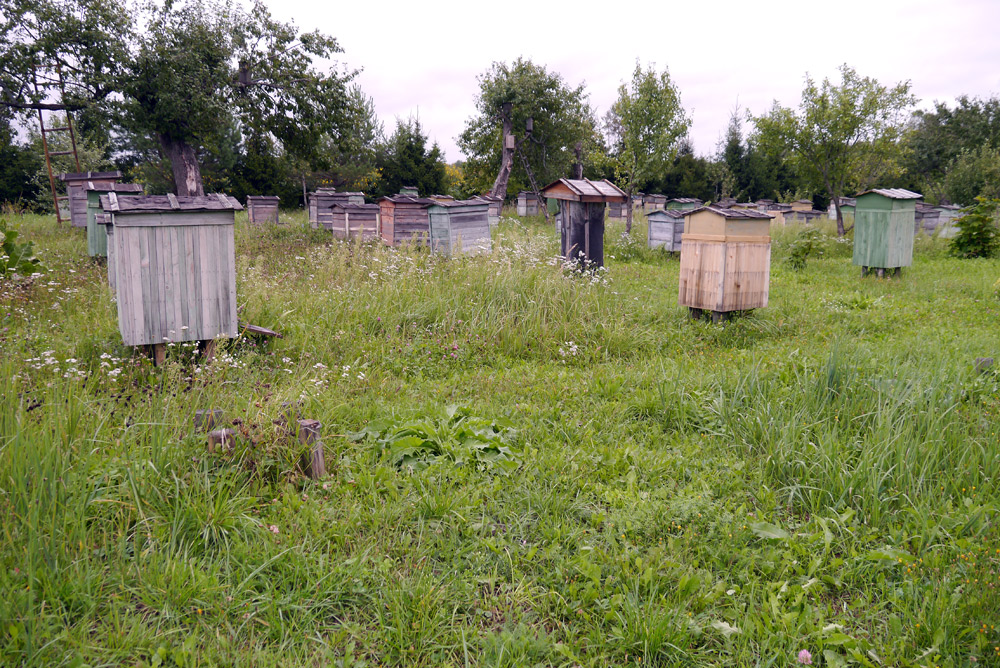 Деревня Винский в Калужской области